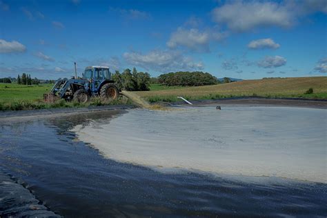 effluent pond drop test|farm dairy effluent pond testing.